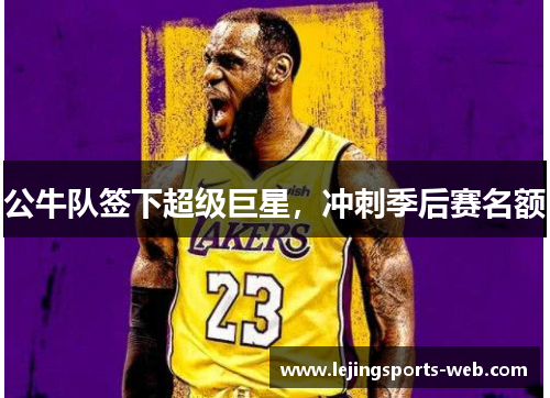 公牛队签下超级巨星，冲刺季后赛名额